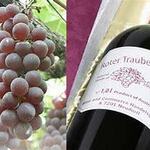 チーズ料理×ワインブッフェ シャンブレ - 