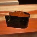 鮨 しょう太 - いくら