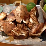 食楽　よしたけ - 