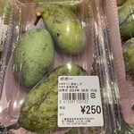 ふれあいの館 - 