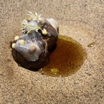 ル スプートニク - 