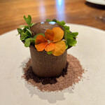 ル スプートニク - 