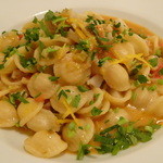 ニコラ - ホタテとふきのとうのオレキエッテ