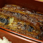 うなぎの松重 - うな重「大」