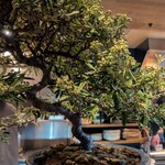 オ山ノ活惚レ - 