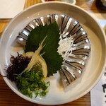 魚将　さかなちゃん - 