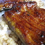 うなぎのやまげん - うな丼「松」