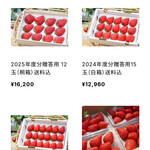 いちご農家Cafe Goccia - 