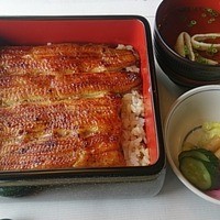 鰻割烹 伊豆栄 本店 - 