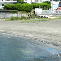 レストラン ラ・マーレ - ヨットが出るとカモメが来て