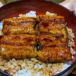 かぼちゃのたね - 