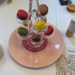 メゾン フジヤ ハコダテ - 