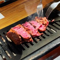黒毛和牛ヘレ肉専門店 炭火焼肉 りきちゃん 北浜店 - 