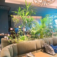 SAAWAAN BISTRO - 