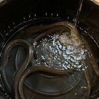 一味亭 - 