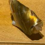 寿し おおはた - 