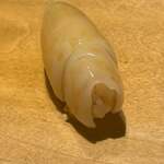 寿し おおはた - 