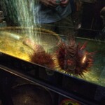 森のせせらぎ なごみ 食事処 - 