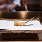 くすのき - メゴチ