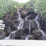 Hilton Hawaiian Village Waikiki Beach Resort - 