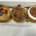 ALLUMAGE LABORATOIRE - 