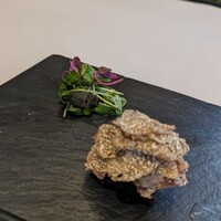 Terres de Truffes, Tokyo - 