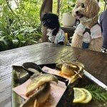 丹一 - テラス席は緑豊か