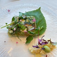 イリエスケープ - 