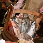 なきざかな 新宿店 - 