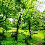 Ryokuyuu Shokudo & SPACE - Atmosphere Around the Restaurant