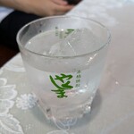 屋久杉 - 屋久の島