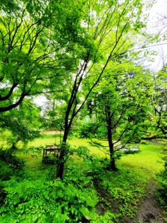 Ryokuyuu Shokudo & SPACE - Atmosphere Around the Restaurant