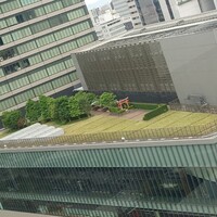 アイリス - 