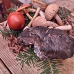 オステリア セルヴァジーナ - 