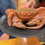 郷土料理 おが - 