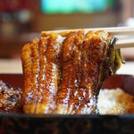 くれない - ハリを感じさせる仕立て