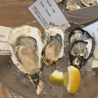 Oysterbar&Wine BELON 渋谷店 - 