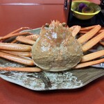 やどり 今屋 - 料理写真: