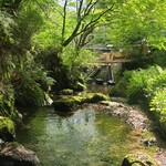 かつら - 川床からの風景(下流)