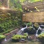 かつら - 川床からの風景(上流)