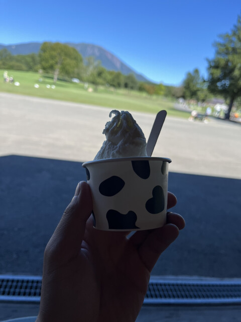 小岩井農場まきば園 軽食コーナー - 雫石町その他（ジェラート・アイスクリーム）の写真