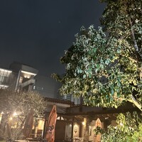 PIZZERIA347 by il pinolo - 