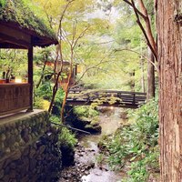 うかい鳥山 - 
