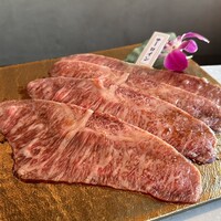 PONGA PREMIUM - 