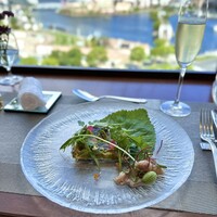 イリエスケープ - 