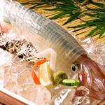 酒家 魚肉菜 虹晴れ - メイン写真: