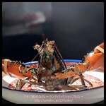 隠れ家鉄板おぶ - 