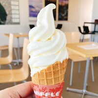 ザ　ジュエルズ - 