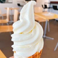 ザ　ジュエルズ - 