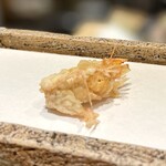 日本橋 蕎ノ字 - 車えび 頭 1